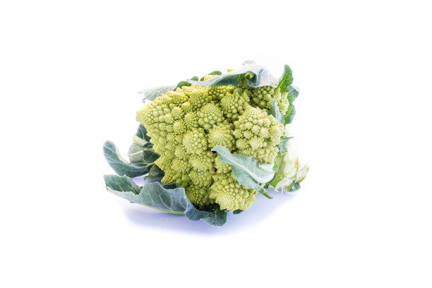 孤立在白色背景上的罗马花椰菜图片下载