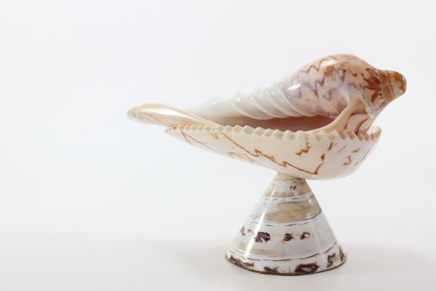 为泰国传统婚礼设置海螺壳图片下载