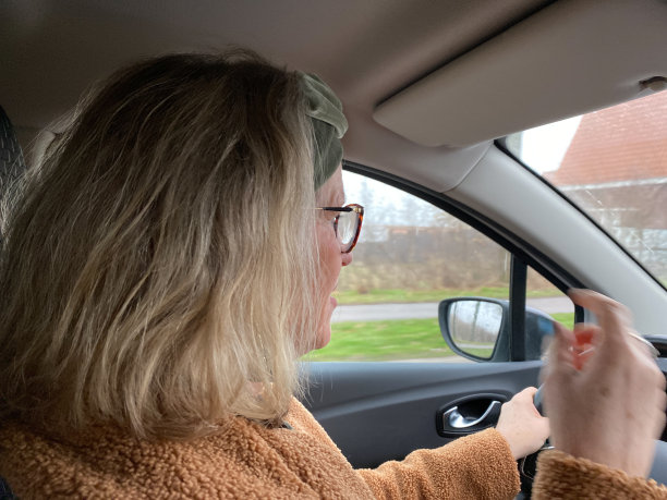 开车女人图片下载