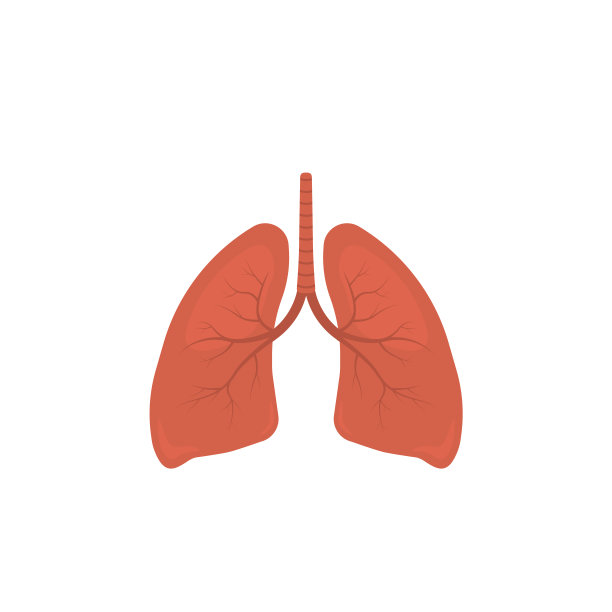 人体肺部载体图解图片下载