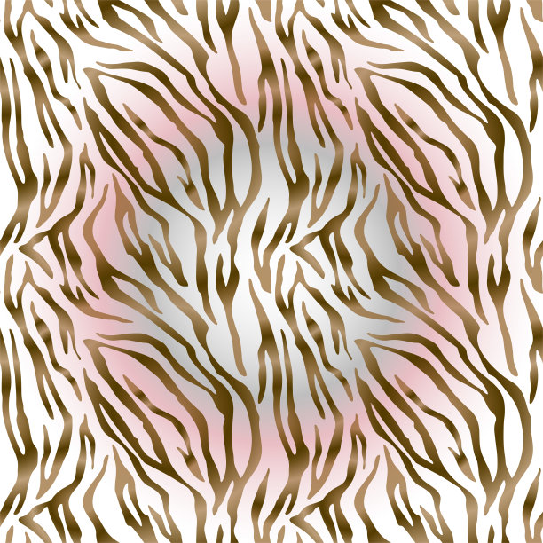 无缝虎纹和斑马纹动物皮肤图案图片下载