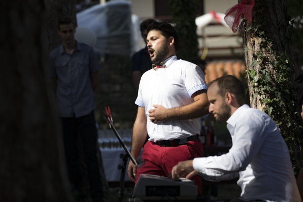 在婚礼上表演的歌手和钢琴家图片下载