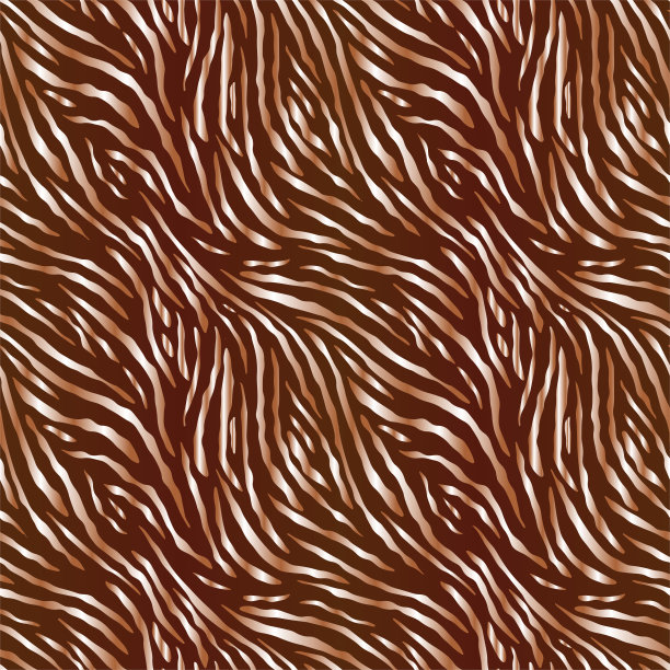 无缝虎纹和斑马纹动物皮肤图案图片下载