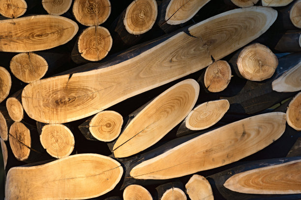特写的砍和堆叠的树干-背景图片下载