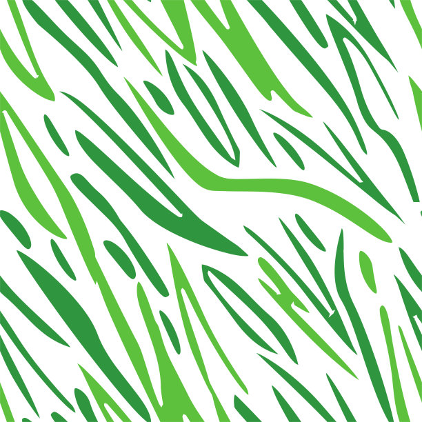 无缝虎纹和斑马纹动物皮肤图案图片下载