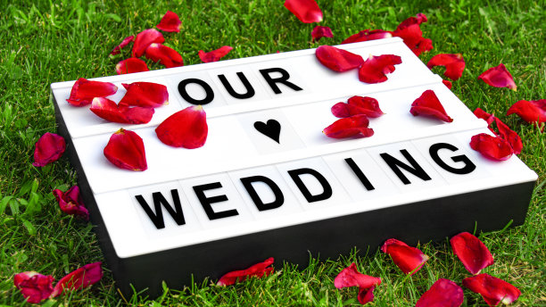 我们的婚礼在绿草背景的木板上图片下载