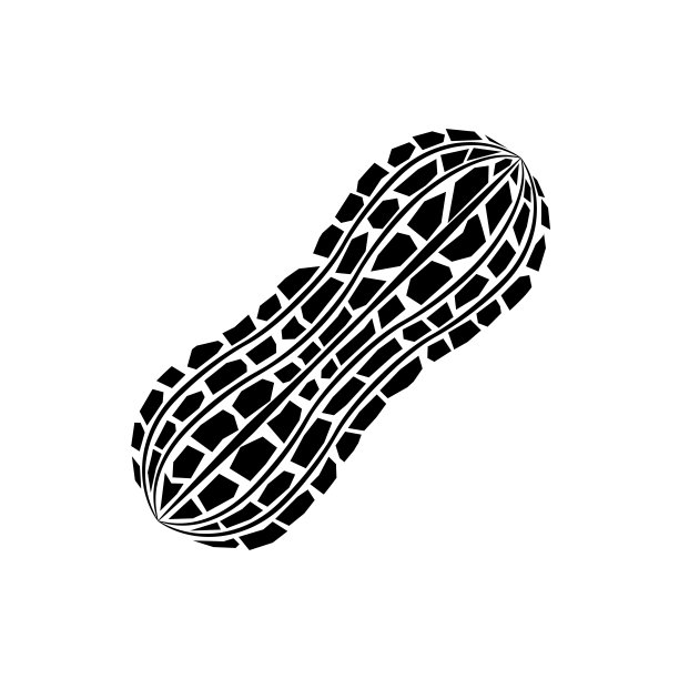 花生黑色和白色。孤立的矢量图。图片下载