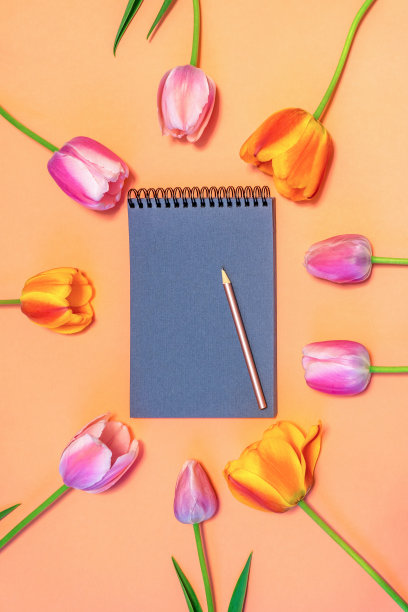 椭圆形框架由彩色粉色和橙色郁金香在桃色纸背景与灰色素描本和铅笔。美丽的春天布局。花模拟贺卡。平躺，俯视图图片下载