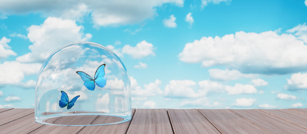 蝴蝶捕获在一个罐子，囚禁概念3d渲染图片下载