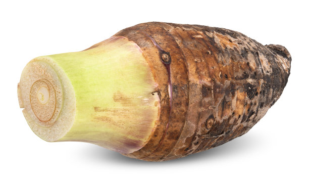 芋头果实孤立在白色的修剪路径上图片下载