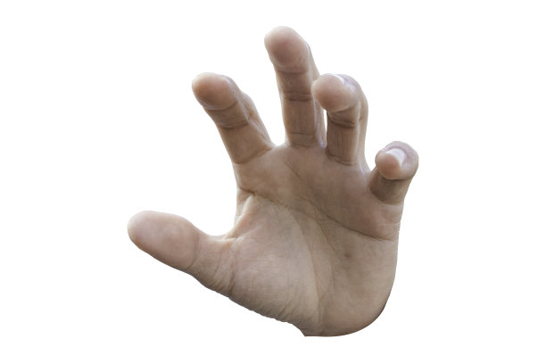 手符号孤立在白色背景上。带有剪切路径的对象。图片下载
