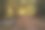 树林图片素材ID：353589414
