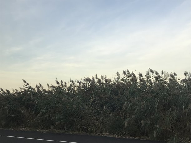 高速公路的观点图片下载