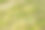 鸟瞰图油棕榈树种植园在马来西亚图片下载