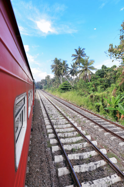 斯里兰卡的火车图片下载