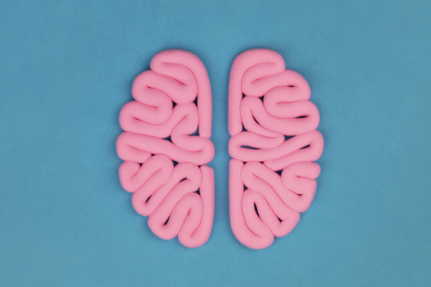 粉色的人脑模型在蓝色的背景下，平躺着。情报的概念。半球模型,布局。图片下载