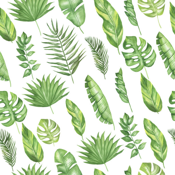 热带落叶pattern.jpg图片下载