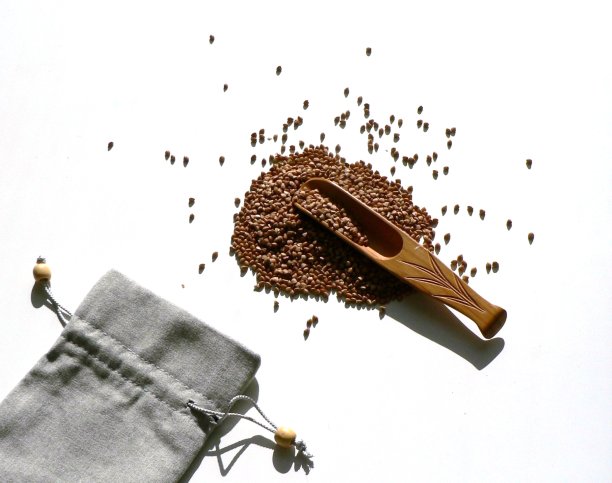 顶视图荞麦在麻袋布与木制汤匙在白色的背景。把荞麦放在勺子里，撒在周围，无谷蛋白的古老谷物是健康的饮食。荞麦颗粒。粮食文化。图片下载