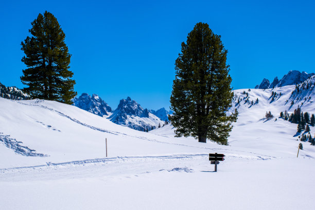 雪地里的方向图片下载