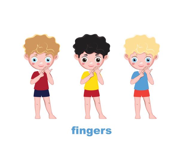 三个男孩用手指指着自己的身体部位——手指。幼儿园的海报。图片下载