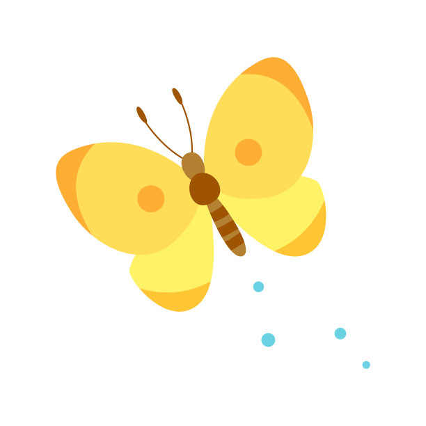 可爱的黄色蝴蝶孤立在白色的背景图片下载