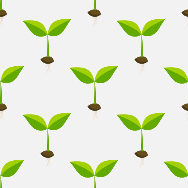 小植物幼苗无缝模式。图片下载