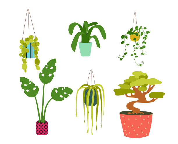 室内植物在各种花盆平面设计矢量插图集。装饰色彩元素图片下载