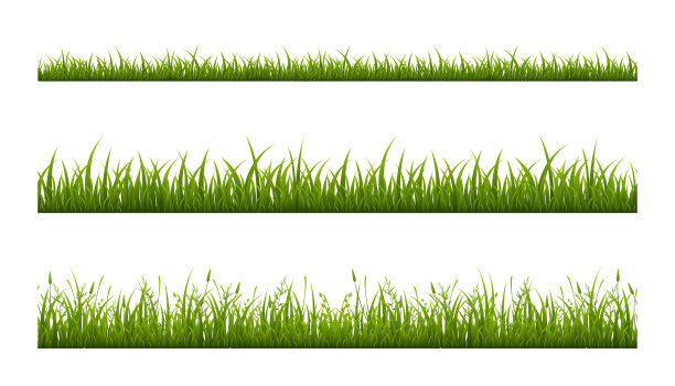 逼真的绿色草地草坪，边界或草地矢量插图设置。水平无缝的背景图片下载