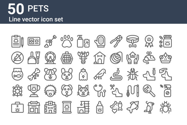 一套50个宠物图标。轮廓细线图标，如狼蛛，急救箱，乌龟，鱼缸，没有粪便，筹码卡图片下载