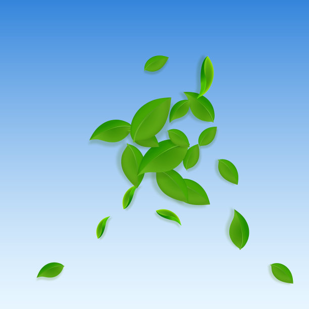 下降的绿叶。鲜茶乱叶飞图片下载