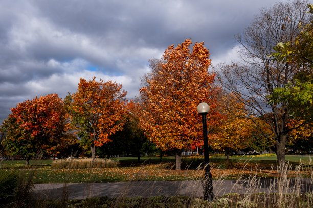 风暴来了图片下载