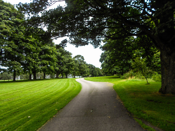 风景照片素材ID：353739204