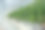 现代温室里的黄瓜，种植蔬菜，用玻璃做成的图案，地板上的图形阴影图片下载