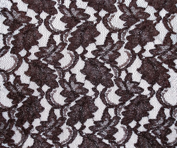 有绣花图案的网眼纱织物图片下载