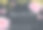 灰底粉红牡丹的婚礼请柬。图片下载