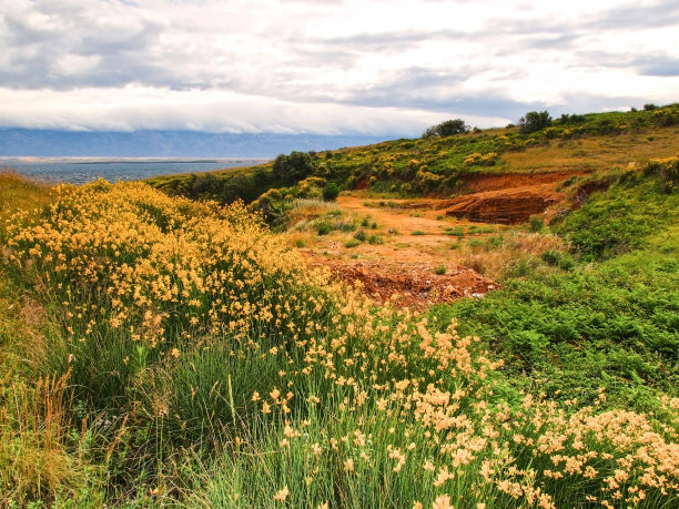 天堂的达尔马提亚海岸图片下载