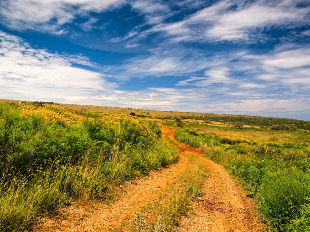 达尔马提亚的春天景色图片下载