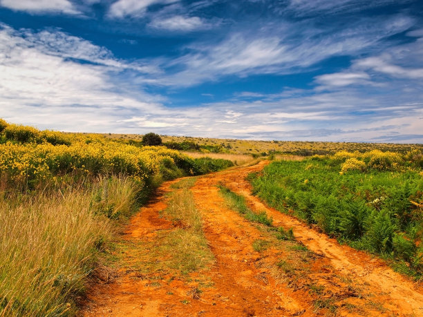 春天在达尔马提亚图片下载