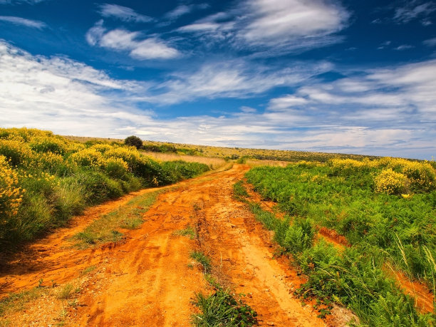 春天在达尔马提亚图片下载
