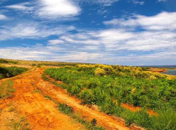 春天在达尔马提亚图片下载