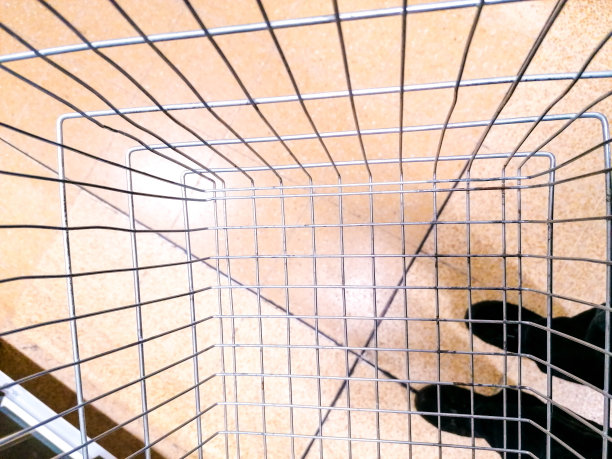 空的购物篮图片下载