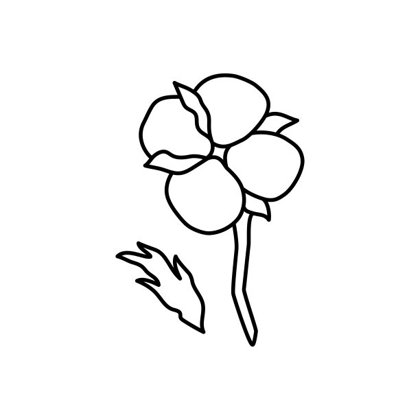 棉花植物枝时尚简约风格。为标志勾勒出有机棉花。植物矢量图图片下载