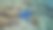 蓝色的海星图片下载
