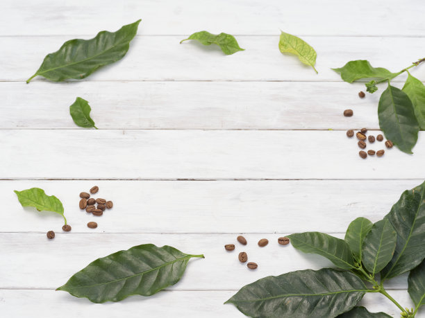 旧的白色木桌上放着烤好的咖啡豆和咖啡叶。图片下载