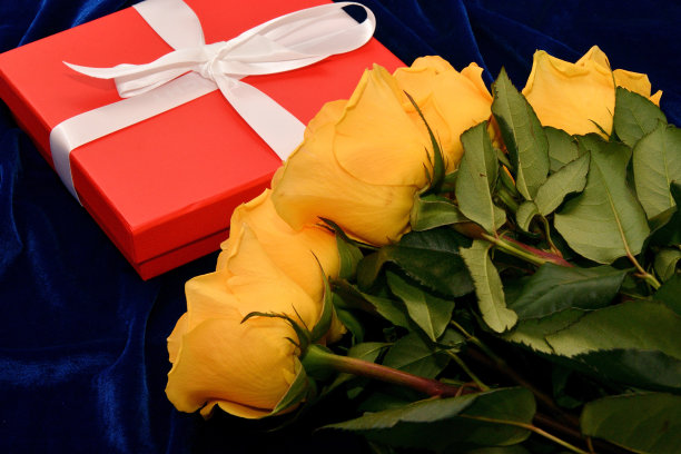 蓝色背景上的黄玫瑰图片下载