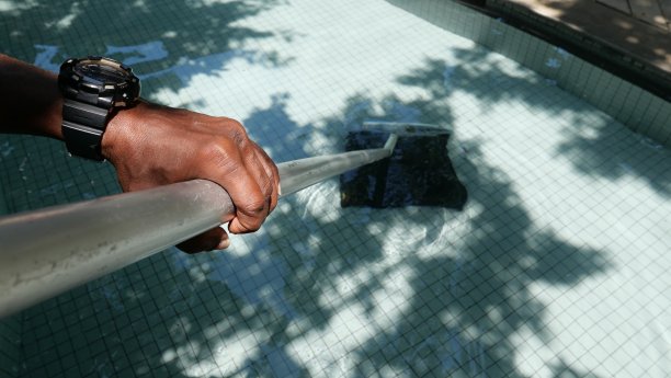 用长柄垃圾网清理游泳池图片下载