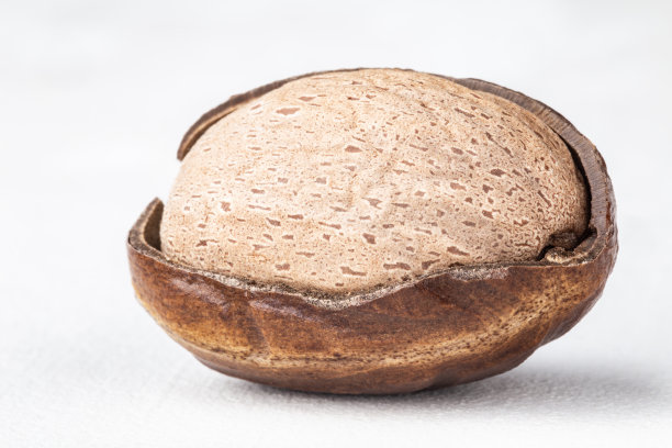 干的整个裂肉豆蔻在白色混凝土背景与copyspace特写。图片下载