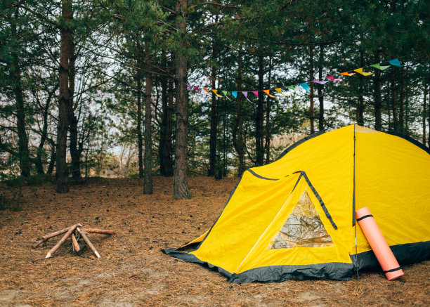 在森林露营复古风格的照片图片下载