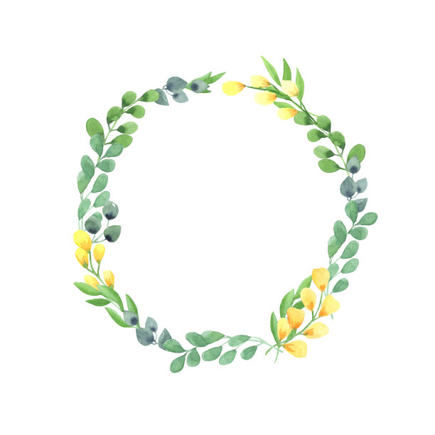 水彩插图圆形框架的绿色沼泽的树枝与树叶，黄色的花枝在白色的背景。图片下载