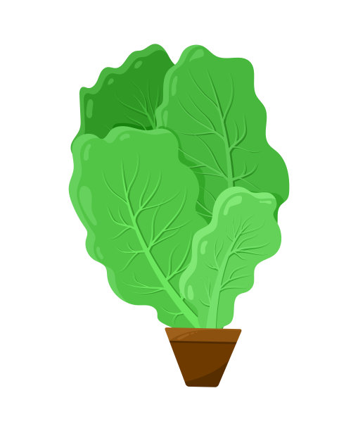 叶装于小的棕色容器图片下载